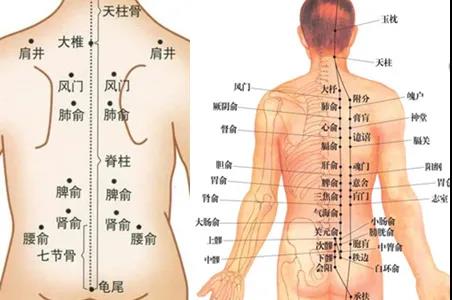 艾灸禁忌、艾灸注意事項