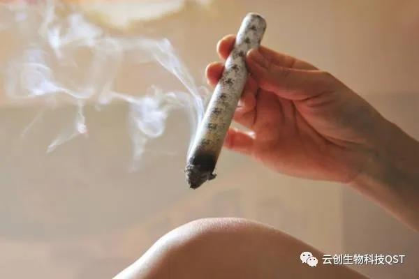 艾灸能同時(shí)調理好幾種婦科問(wèn)題，簡(jiǎn)單有奇效，現在開(kāi)始灸還不晚！