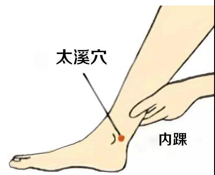 護腎養腎？這六大穴位就夠了！