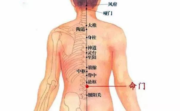 命門(mén)火衰影響人體生老病衰？命門(mén)穴有何神奇，竟決定生命的元陽(yáng)盛衰？